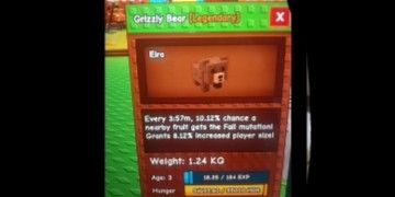 Grizzly bear
