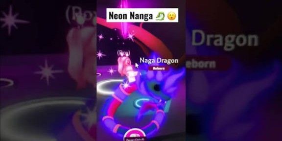 NR Naga Dragon