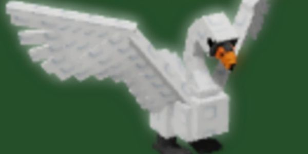Swan