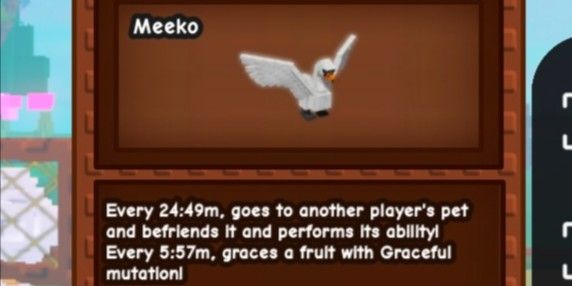 Swan Pet Divine