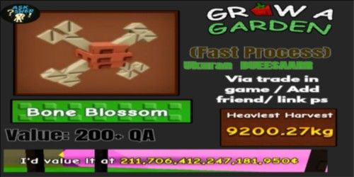 Bone Blossom / bone blossom / Bone blossom Super Fruit 200Qa - Grow A Garden