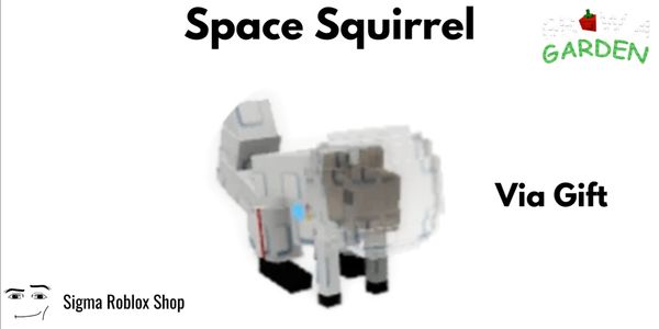 Space Squirrel
