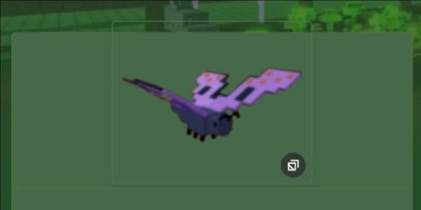 Butterfly base 2kg+