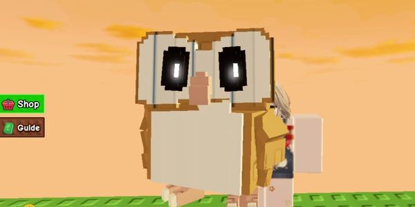 barn owl