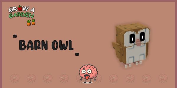 Barn Owl - Grow a Garden