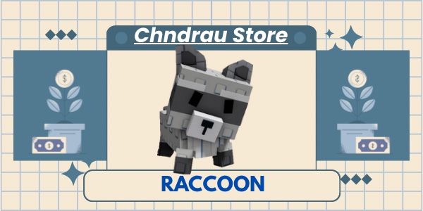 Raccoon (Divine)