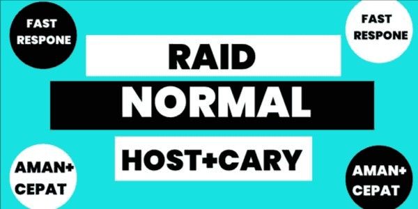 Raid Carry Service 1x