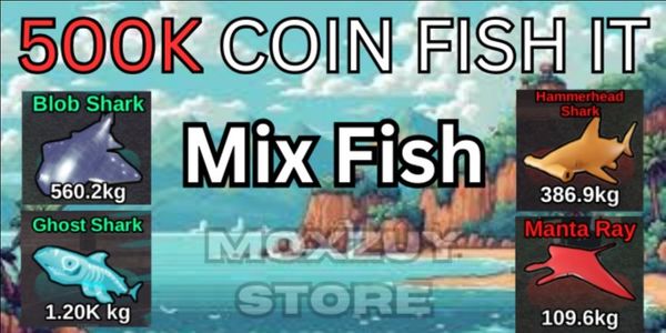 500K Coin Fish IT | Via Shark