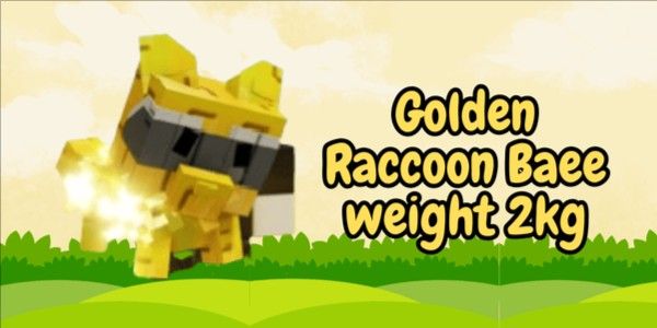 Golden Raccoon - Grow a Garden