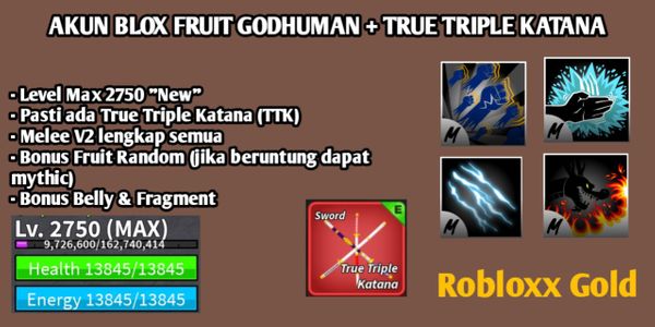 Akun Blox Fruit Godhuman+TTK Level Max