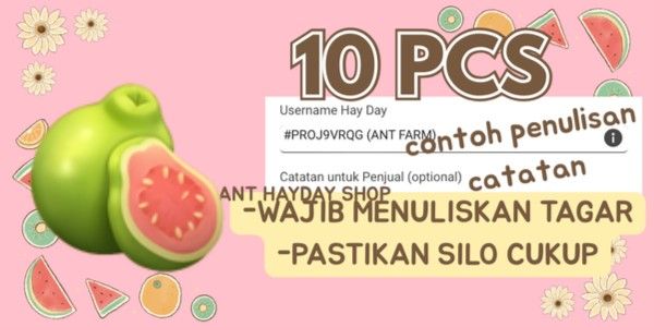 10 pcs Jambu / Guava - Crops Hayday