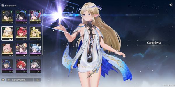 Starter SEA, UL8 || cartethyia SIGN + ciaccona + rock