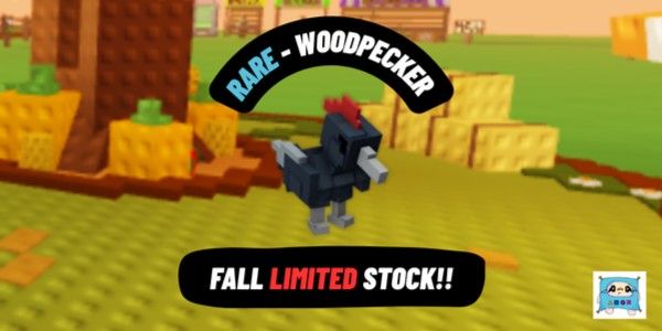 Woodpecker - Fall Event