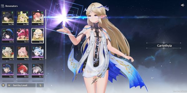 Starter SEA, UL8 || cartethyia SIGN + lupa + changli