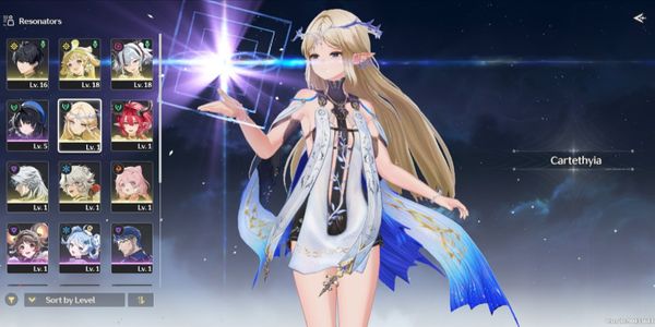 Starter SEA, UL8 || cartethyia SIGN + ciaccona + camellya