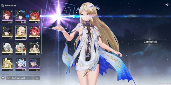Starter SEA, UL8 || cartethyia SIGN + ciaccona + yinlin