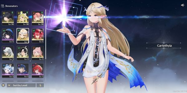 Starter SEA, UL8 || cartethyia SIGN + ciaccona + changli