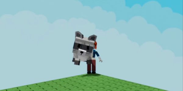 Raccoon - Grow A Garden