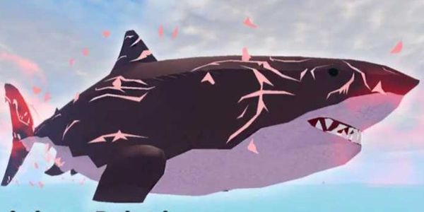 Megalodon | Fish