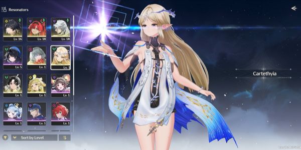 Starter SEA, UL8 || cartethyia SIGN + phrolova + yinlin