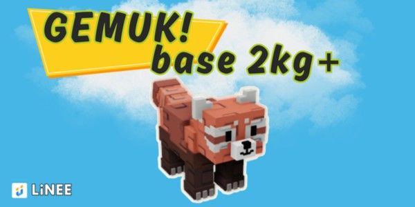 Red Panda | Base 2kg