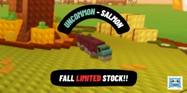 Salmon - Fall Event
