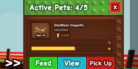 giantbean dragonfly