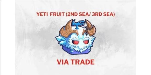 Yeti