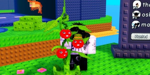Tomatrio