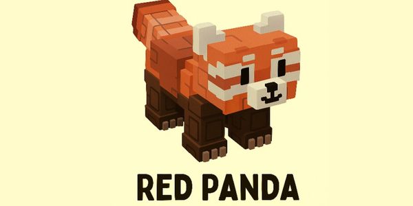 Red Panda