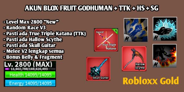 Akun Blox Fruit Godhuman+TTK+HS+SG Level Max