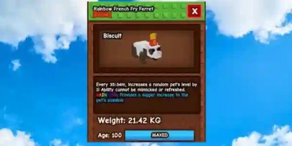 Rainbow French Fry Ferret