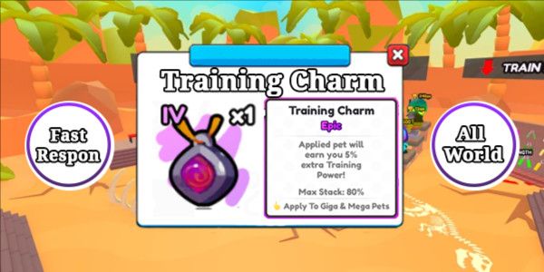 All World Training Charm