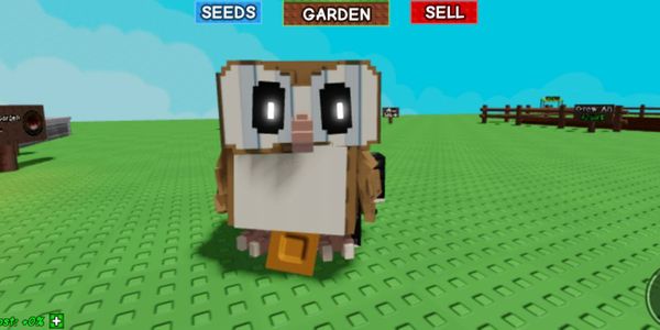Barn Owl (random base)