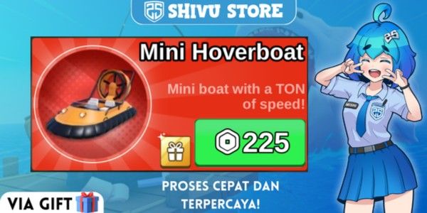 Mini Hoverboat