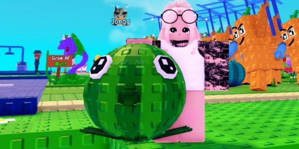 Watermelon Random Size buy 2 get 1 free
