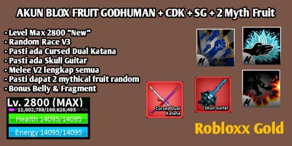 Akun Blox Fruit Godhuman+CDK+SG+2 Mythical Fruit Level Max
