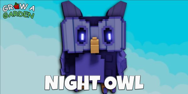 Night Owl