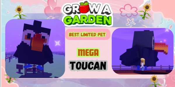 Mega Toucan – Best Cute Pet Grow A Garden