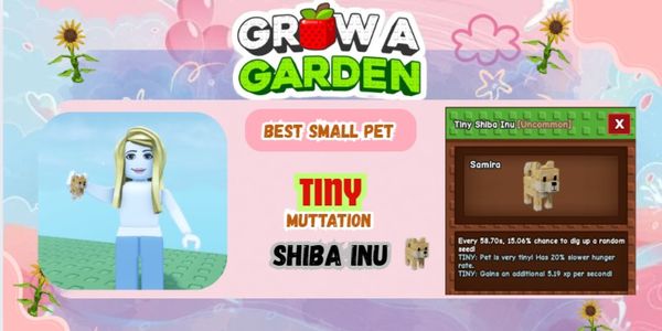 Tiny Shiba Inu – Cute Small Pet Collection | Grow A Garden
