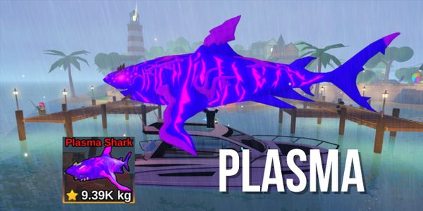 Plasma