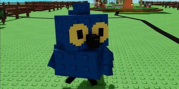 Hyacinth Macaw
