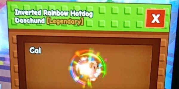 Rainbow Hotdog (since birth)