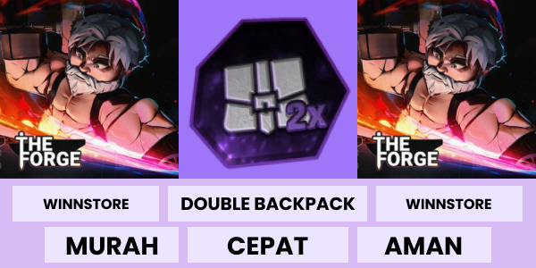 Double Storage