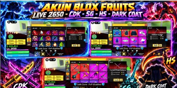 Akun Blox Fruits Dark Coat ( Detail Deskripsi )