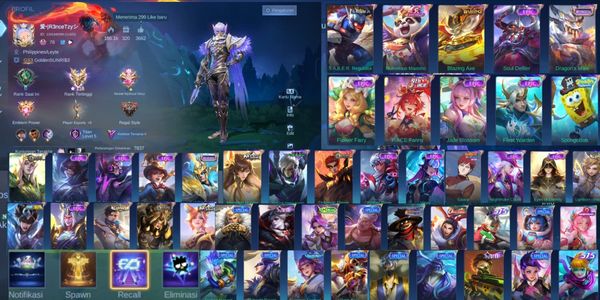 Collector Gusion full hero max emblem