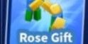 Rose Gift