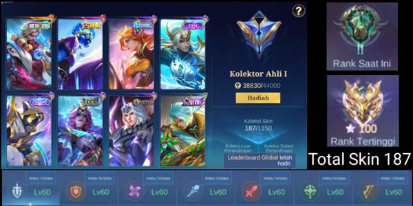 CHEAPEST AND SAFEST ML ACCOUNT