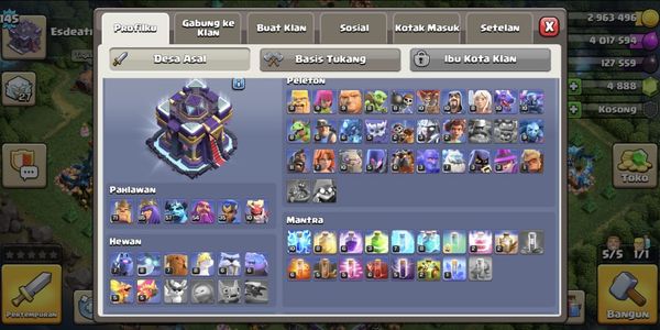 Town Hall 15 डोनेशन बर्स्किन Gg