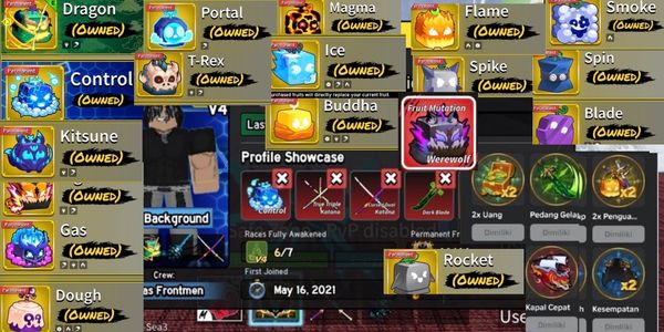 SULTAN ACCOUNT ALMOST COMPLETED LEVEL 17 AND HAS WEREWOLF SKIN DETAILS IN PHOTO AND DESCRIPTION